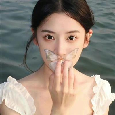 莫奇的故事